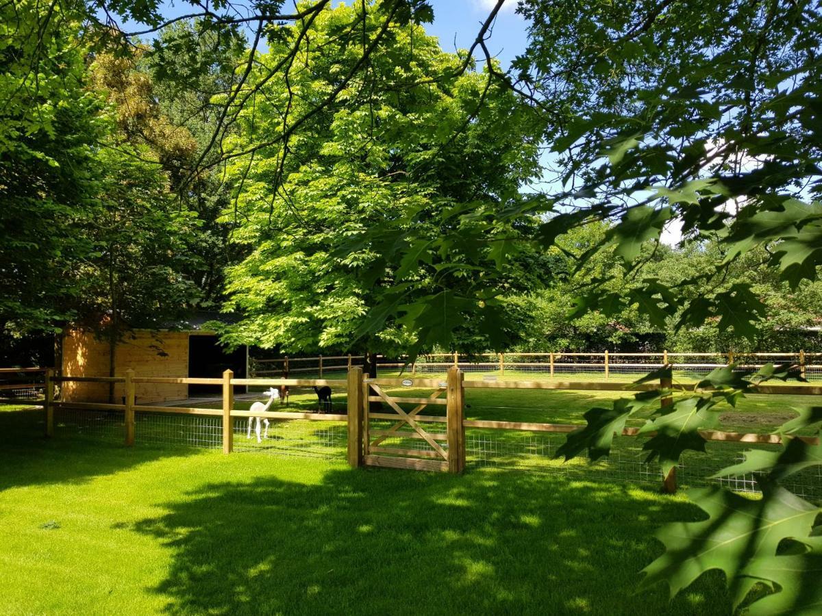 The Two Oaks - Private Garden For Guests Βίλα Hertsberge Εξωτερικό φωτογραφία